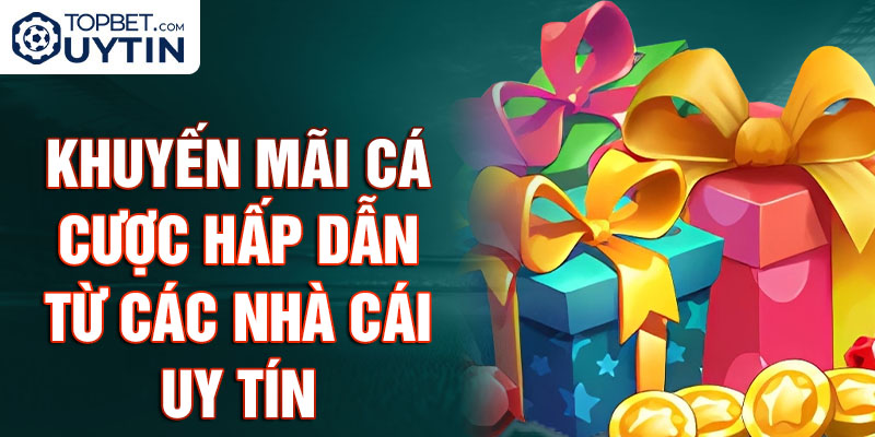 Khuyến mãi cá cược hấp dẫn từ các nhà cái uy tín